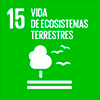ODS 15 Vida d'ecosistemes terrestres