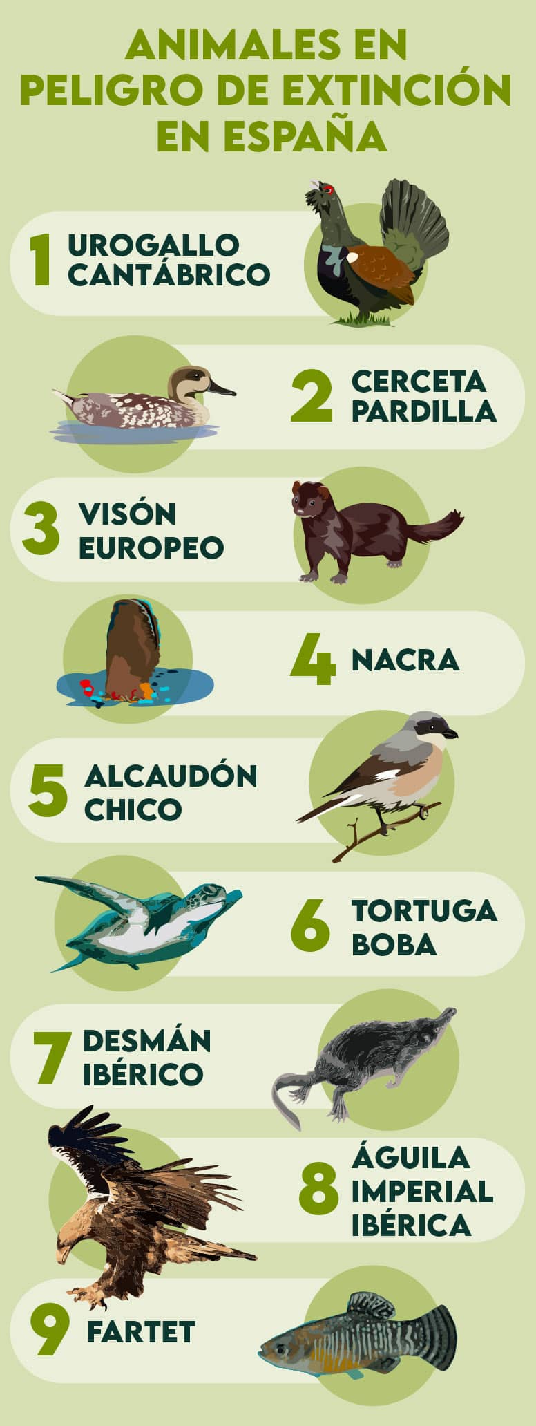 animales en peligro de extinción en España infografía