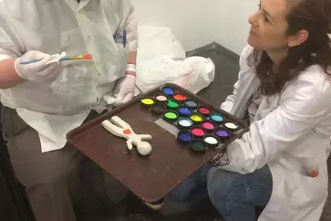 Arteria Teràpia psicoexpressiva